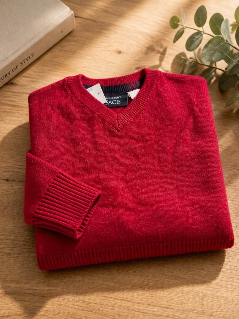 The Children's Place Red V-Neck Sweater